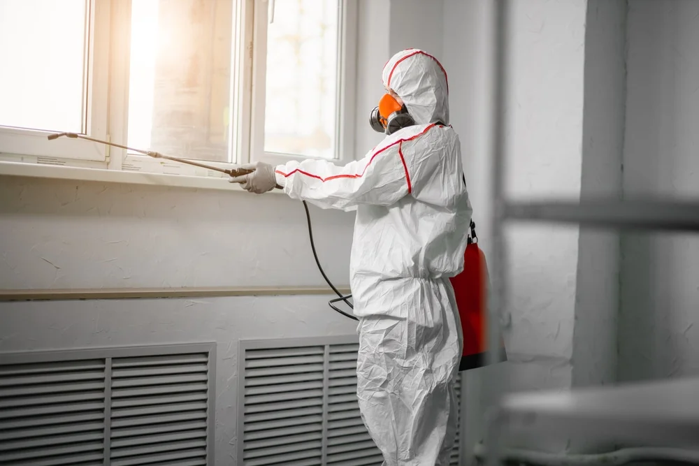 Professional mold remediation services in Sharps Chapel, TN